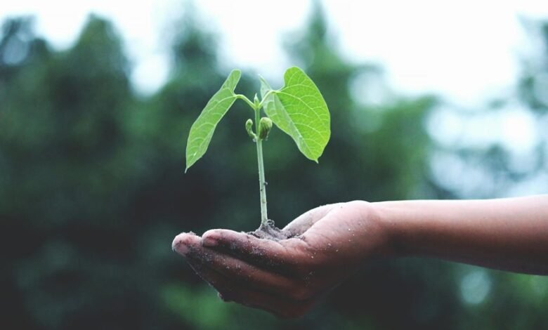 indian growth initiative program