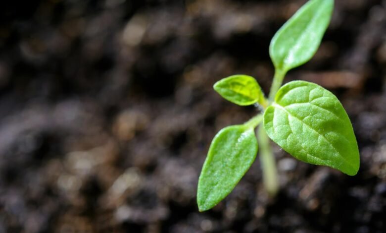 maximize life growth potential