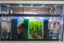 Burtons Aquatics Drum Filter: Premium Self-Cleaning Filtration for Koi and Garden Ponds