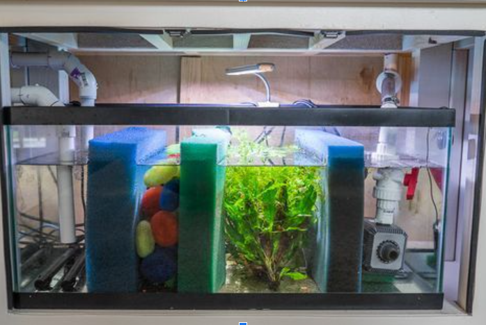 Burtons Aquatics Drum Filter: Premium Self-Cleaning Filtration for Koi and Garden Ponds