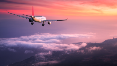 Top Travel Tips for Flying from London to Saudi Arabia