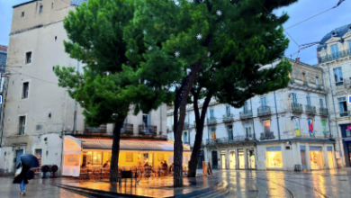 THE MAGIC OF MONTPELLIER