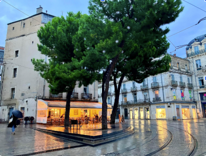 THE MAGIC OF MONTPELLIER