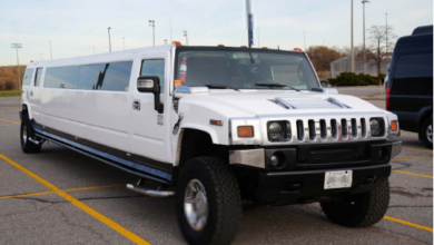 Toronto Limousine Service for Niagara Falls Trips and Special Getaways