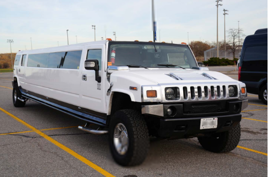 Toronto Limousine Service for Niagara Falls Trips and Special Getaways